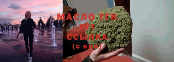 скорость Вяземский