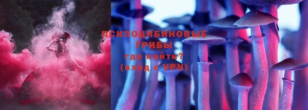 скорость Вяземский