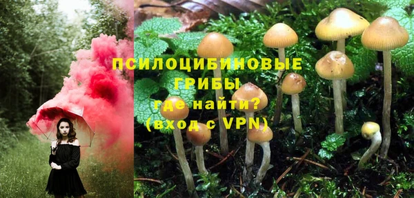 прущие крисы Вязьма