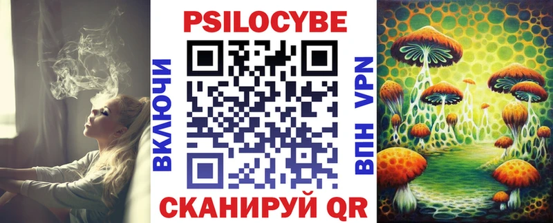 наркота  Ржев  omg онион  Псилоцибиновые грибы Psilocybe 